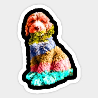 Rainbow Cockapoo Sticker